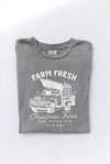 FARM FRESH CHRISTMAS Mineral Graphic Top